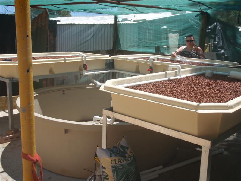 PC190128 (Medium).JPG