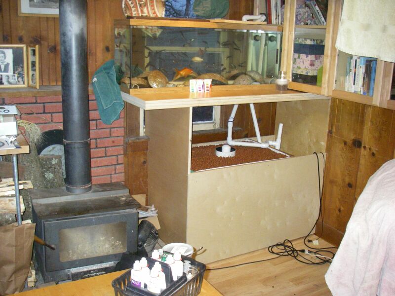 happy catfish etc.jpg