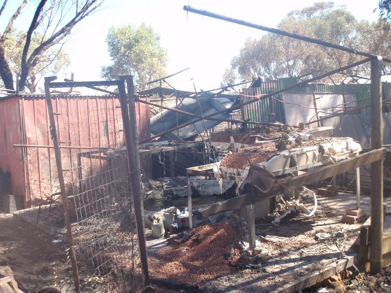 P1010526 (Medium).JPG