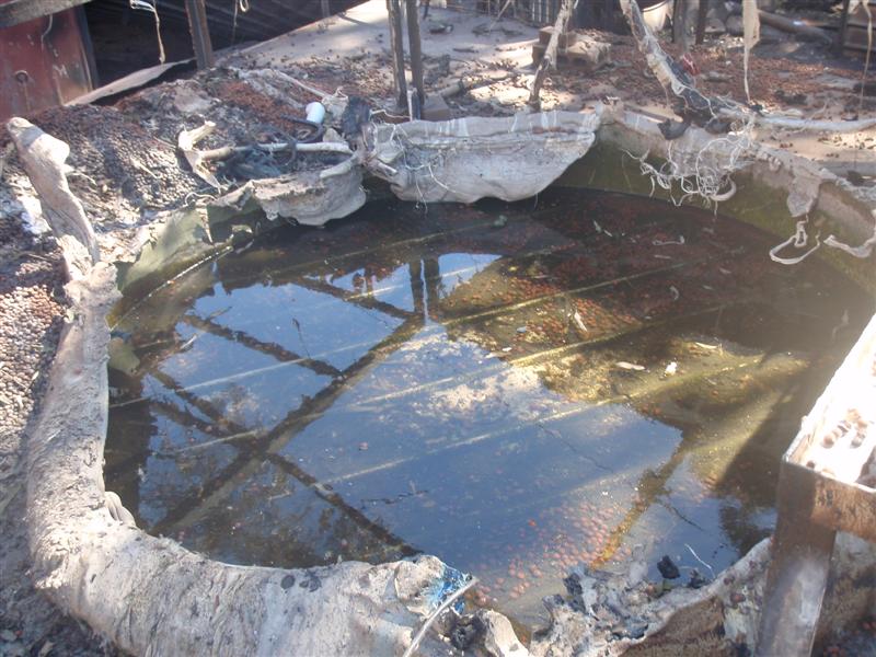 P1010528 (Medium).JPG