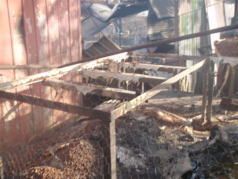 PC300501 (Medium).JPG