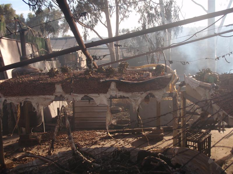 PC300502 (Medium).JPG