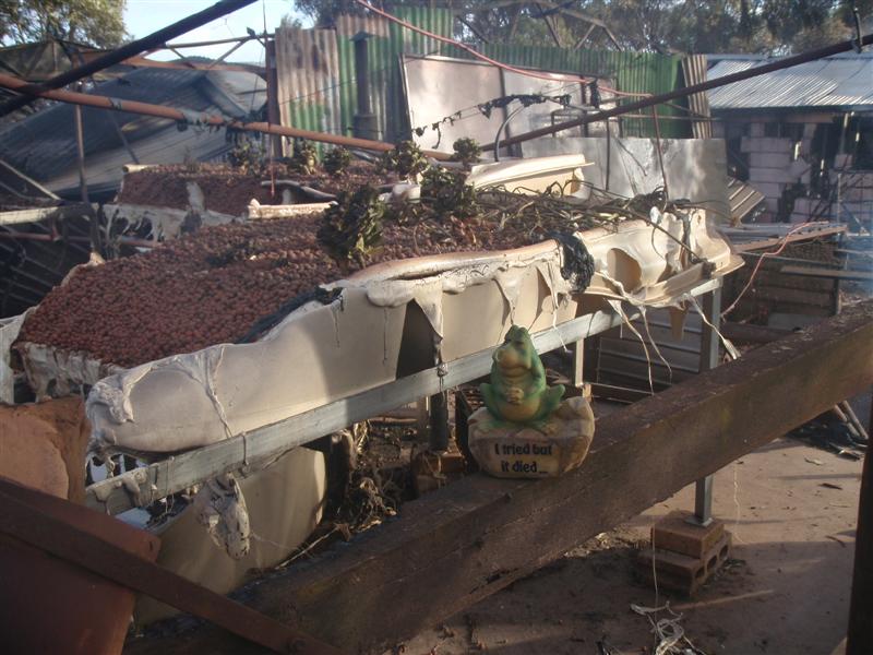 PC300504 (Medium).JPG