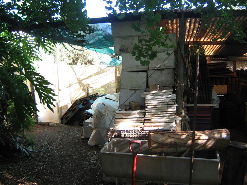 Our Aquaponics System 045 (Medium).jpg