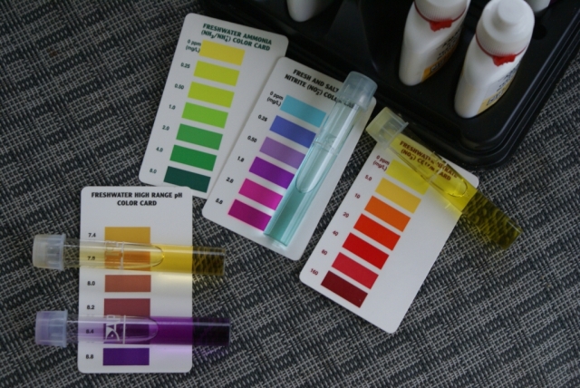 Ph reading 09 12 5th sm.jpg