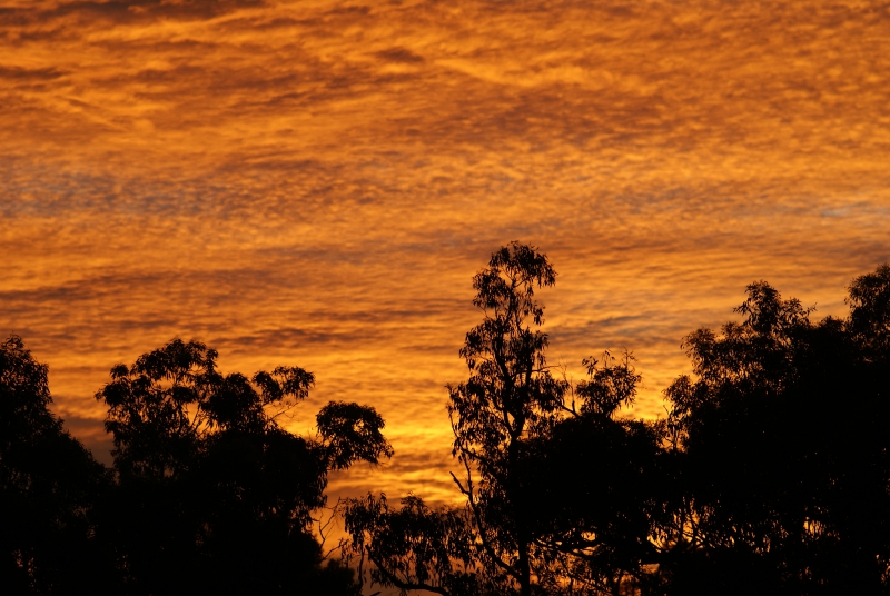 Sunset Above Auquaponics setup 001.jpg