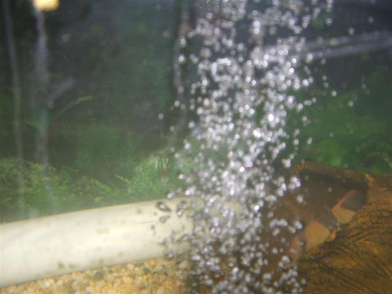 DSCF2323 (Medium).JPG