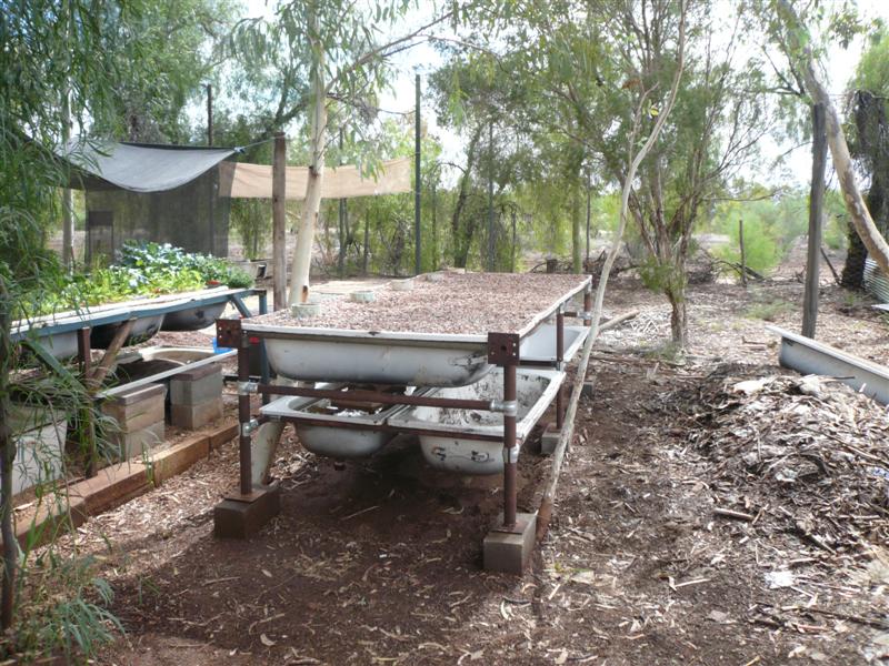 Progress of AP system Jan2010 104 (Medium) (2).jpg