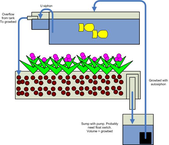 fish tank plan 2.jpg