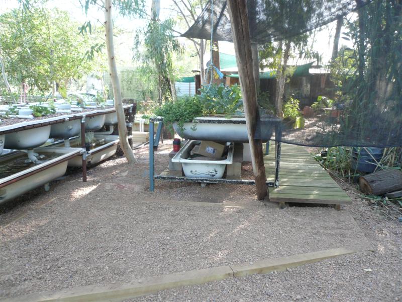 West side 392 (Medium).JPG