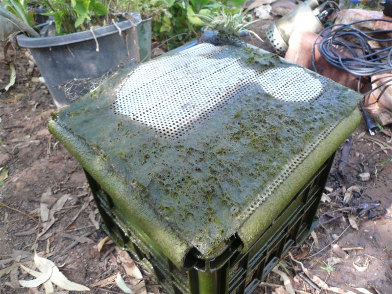 filter box one month027 (Medium).jpg