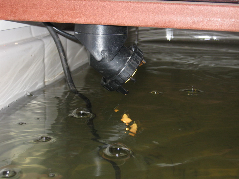 designaponics 015.jpg