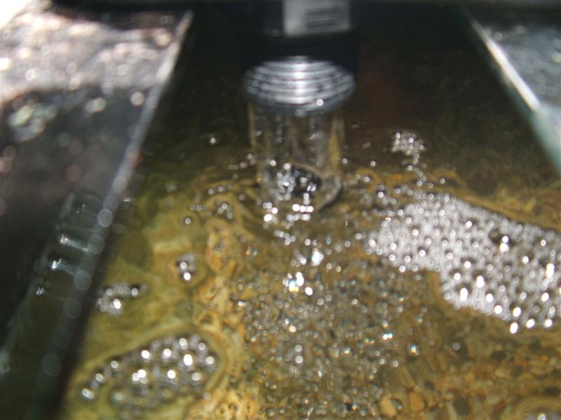 DSCF2322 (Medium).JPG