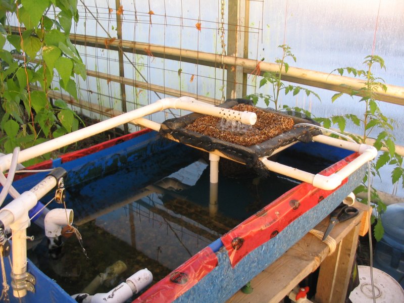 Vermifilter exp2.jpg