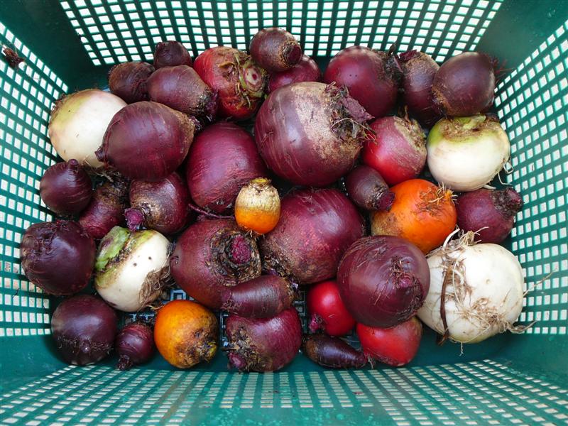 02-02-10 - BAP_BF 005 (Medium).jpg