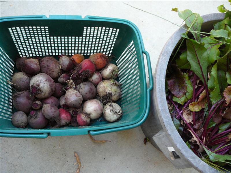 02-02-10 - BAP_BF 002 (Medium).jpg