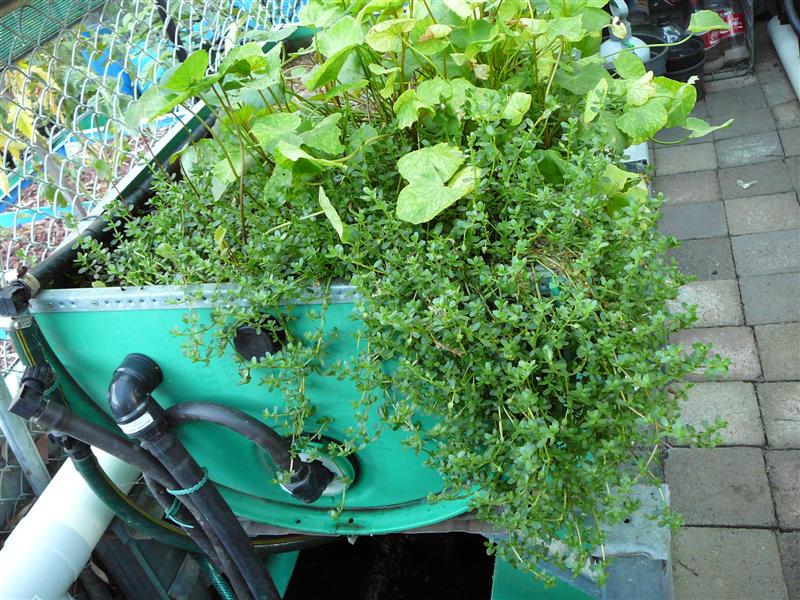 02-02-10 - BAP_BF 011 (Medium).jpg