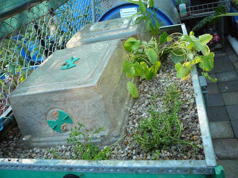 02-02-10 - BAP_BF 018 (Medium).jpg