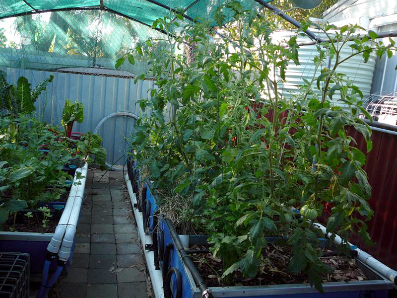 02-02-10 - BAP_BF 013 (Medium).jpg