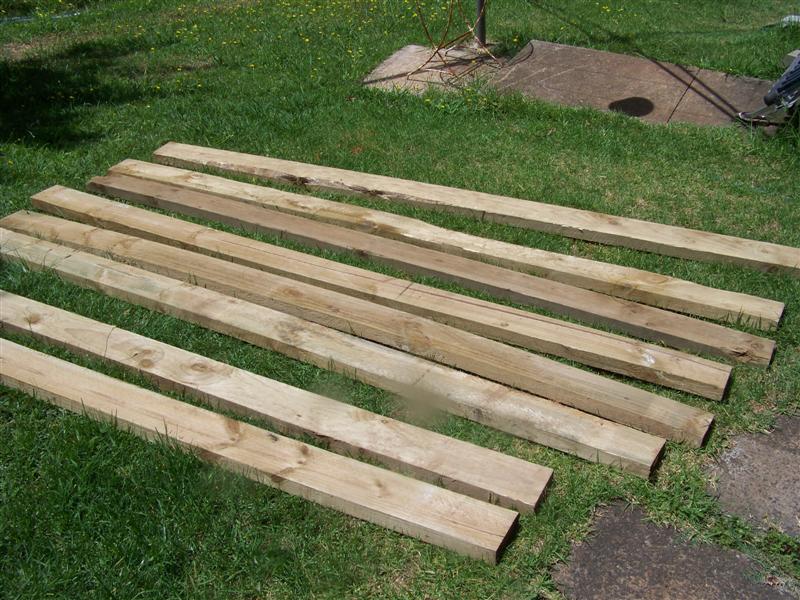 100_4334 (Medium).JPG