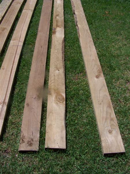 100_4335 (Medium).JPG