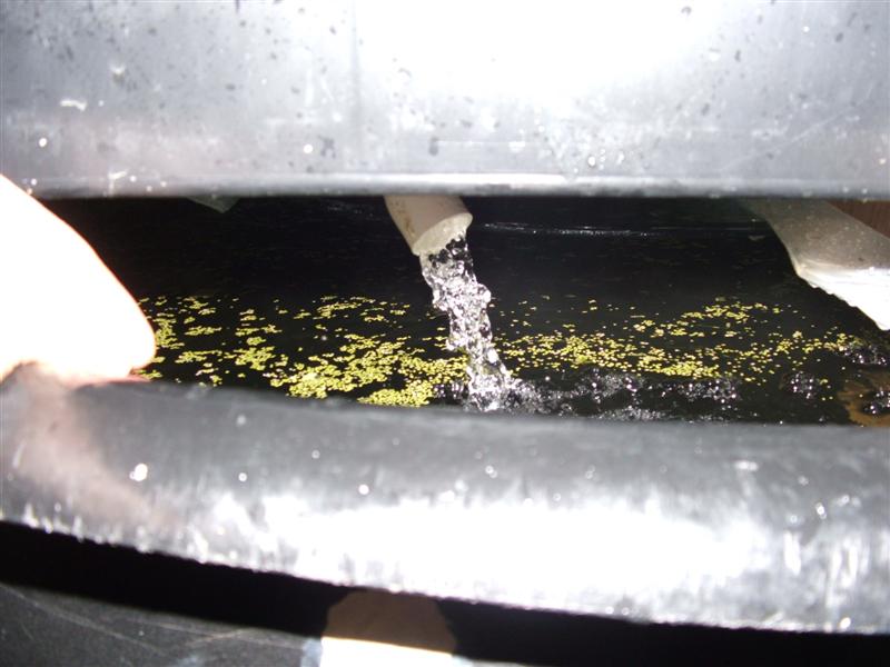 DSCF2343 (Medium).JPG