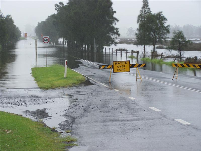 100_4339 (Medium).JPG