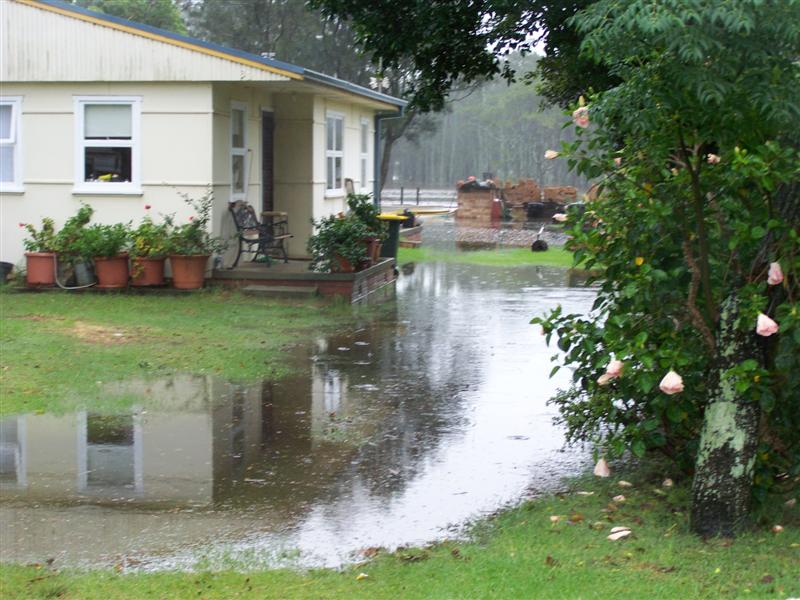 100_4348 (Medium).JPG