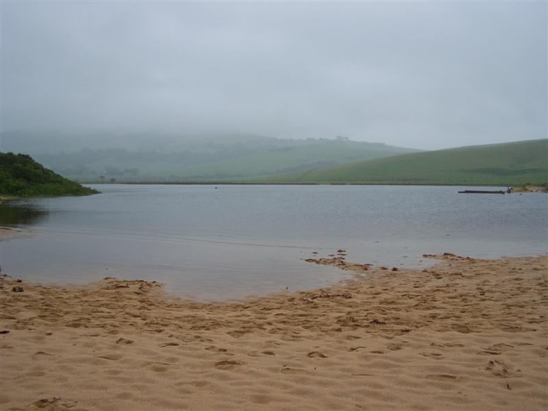 100_4351 (Medium).JPG