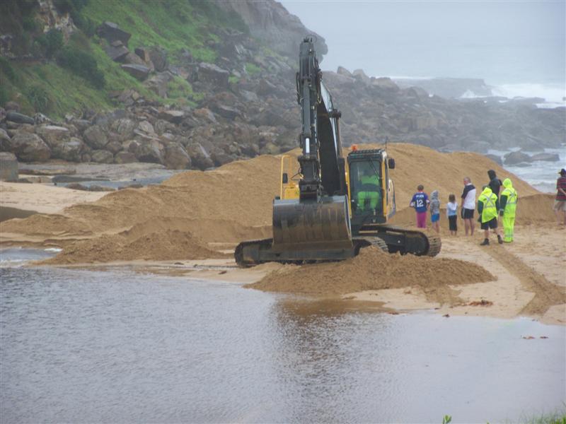 100_4350 (Medium).JPG