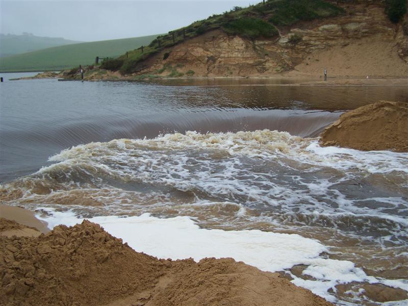 100_4352 (Medium).JPG