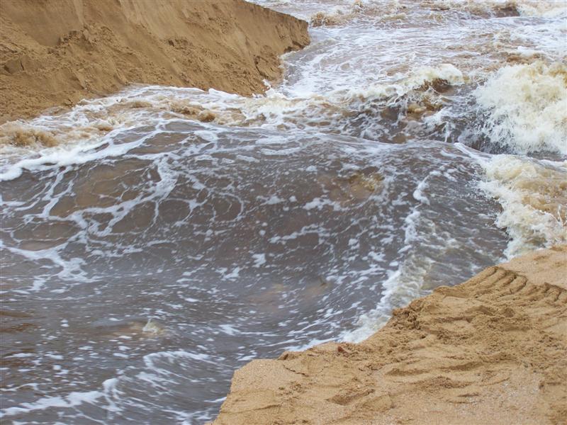 100_4354 (Medium).JPG