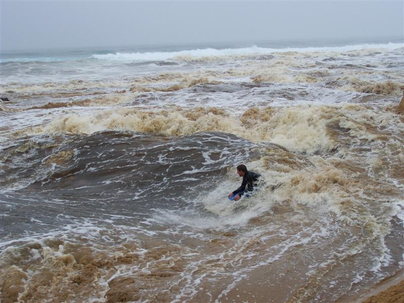 100_4369 (Medium).JPG