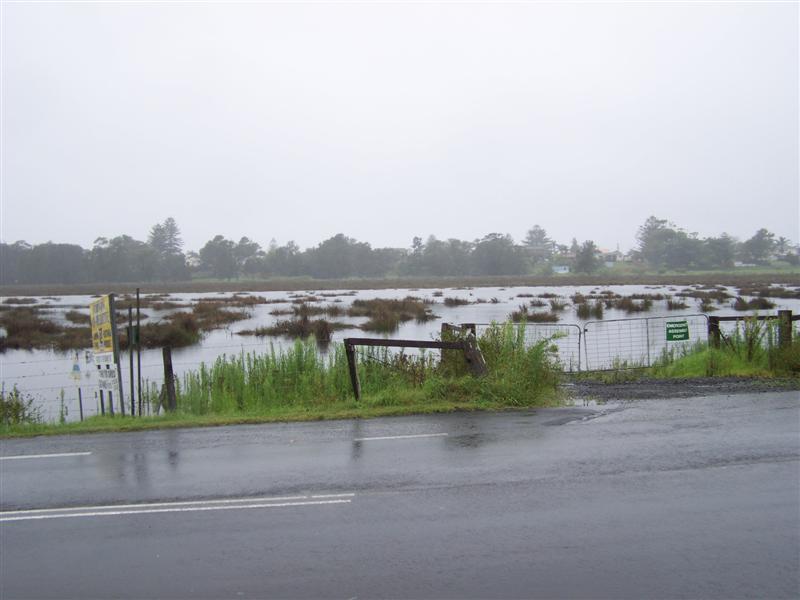 100_4340 (Medium).JPG