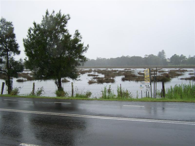 100_4341 (Medium).JPG