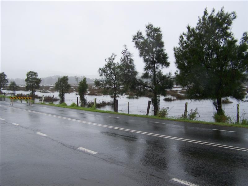 100_4342 (Medium).JPG