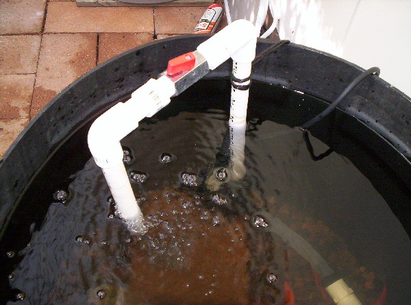 accidental venturi.jpg