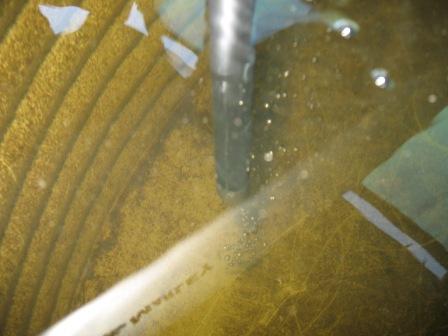 Air bubbles in tank.jpg