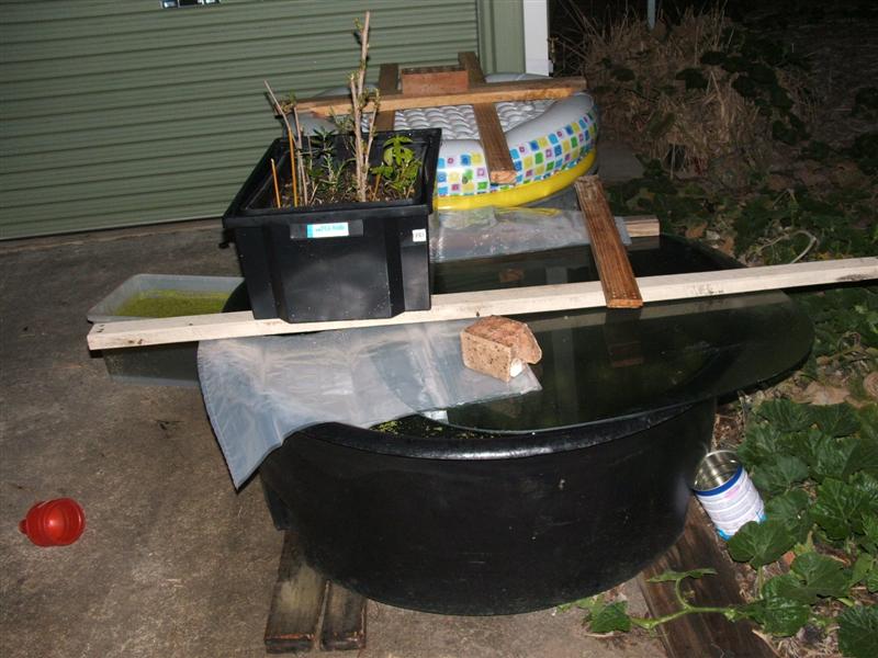 DSCF2339 (Medium).JPG