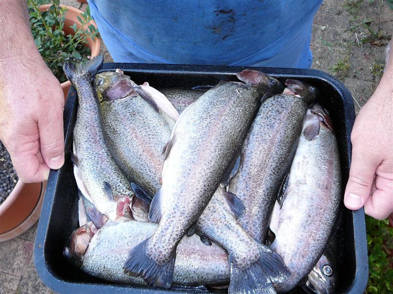 P1080719 (Medium).JPG