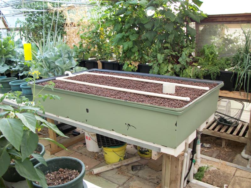 New Grow Bed 001 (Medium).jpg