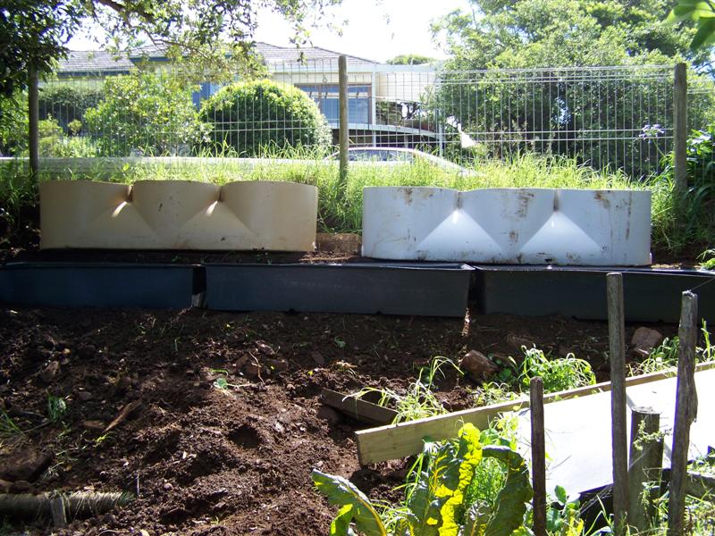 100_4390 (Medium).JPG