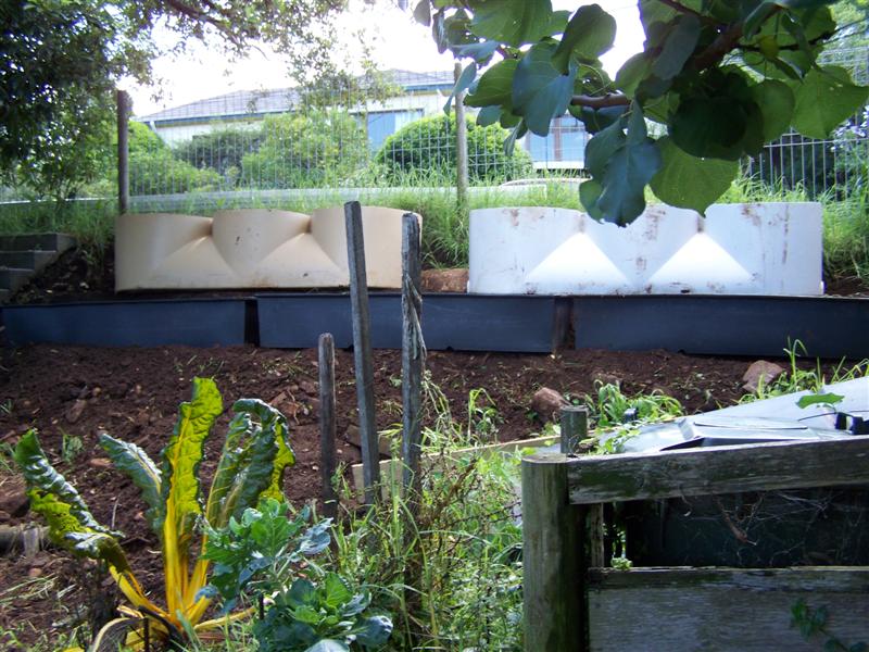 100_4391 (Medium).JPG