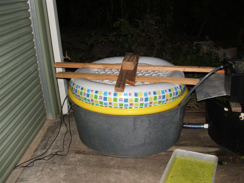 DSCF2336 (Medium).JPG