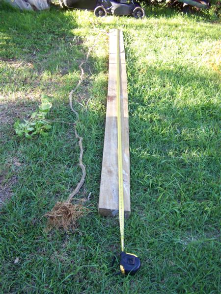 100_4393 (Medium).JPG