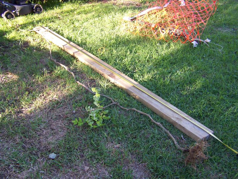 100_4395 (Medium).JPG