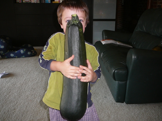 zucchini 001.jpg