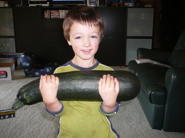 zucchini 004.jpg