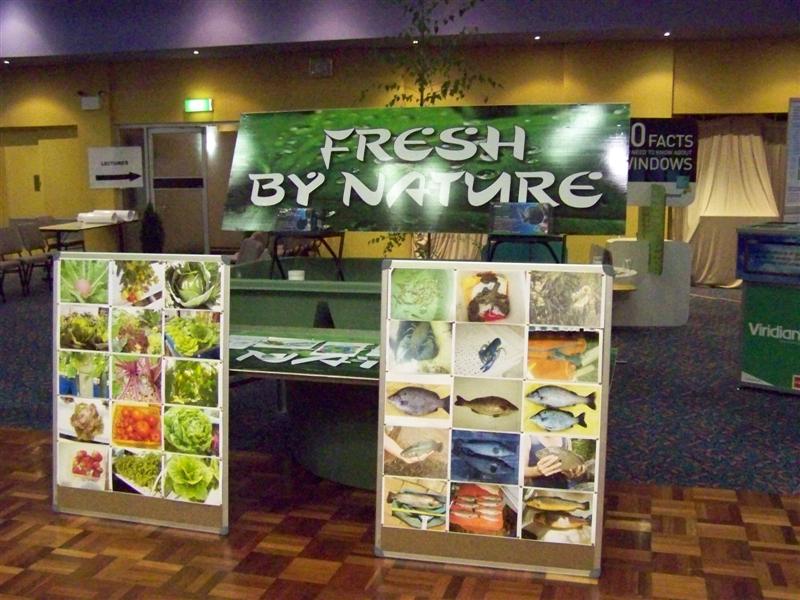 100_4411 (Medium).JPG