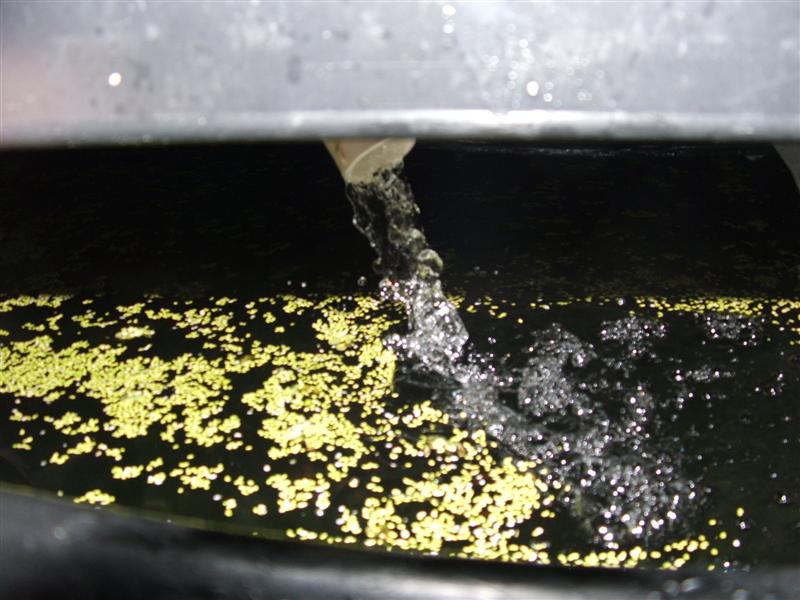 DSCF2342 (Medium).JPG